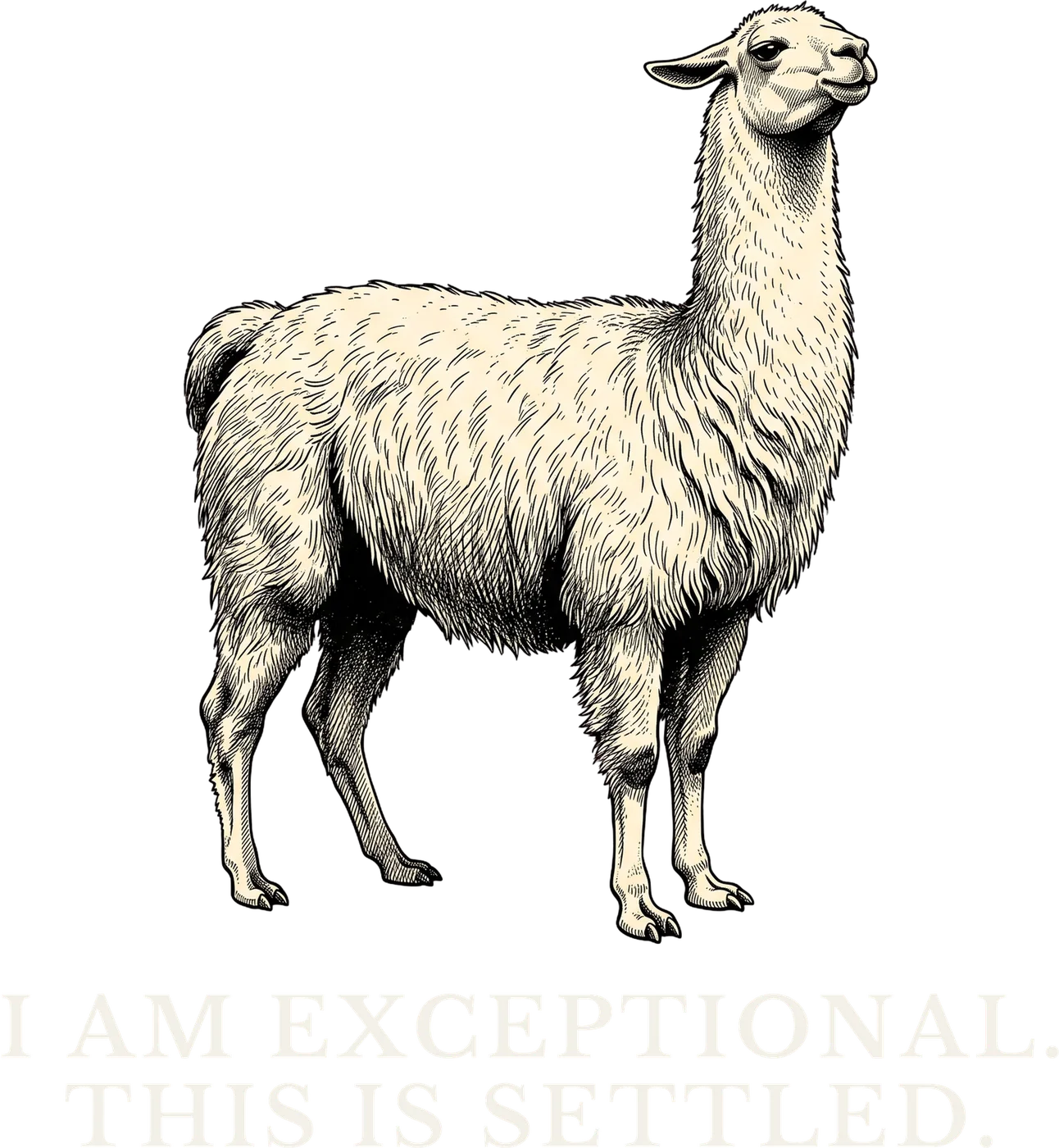 Exceptional This Is Settled design