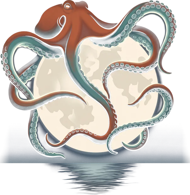 Octopus Moon